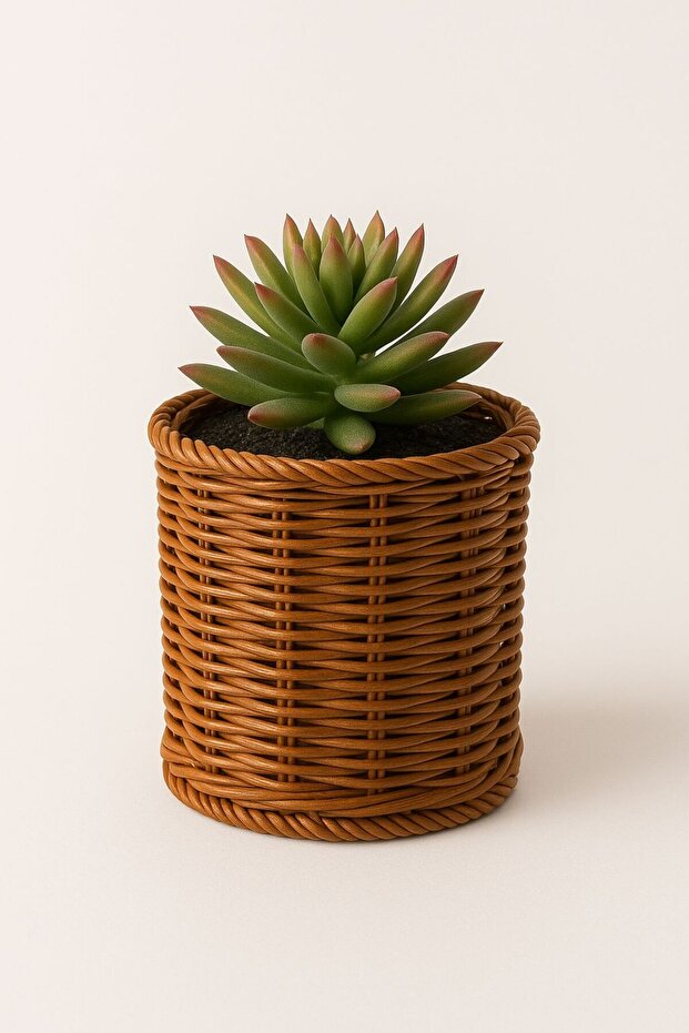 Natural Hasır Sepet / Saksılık - 6