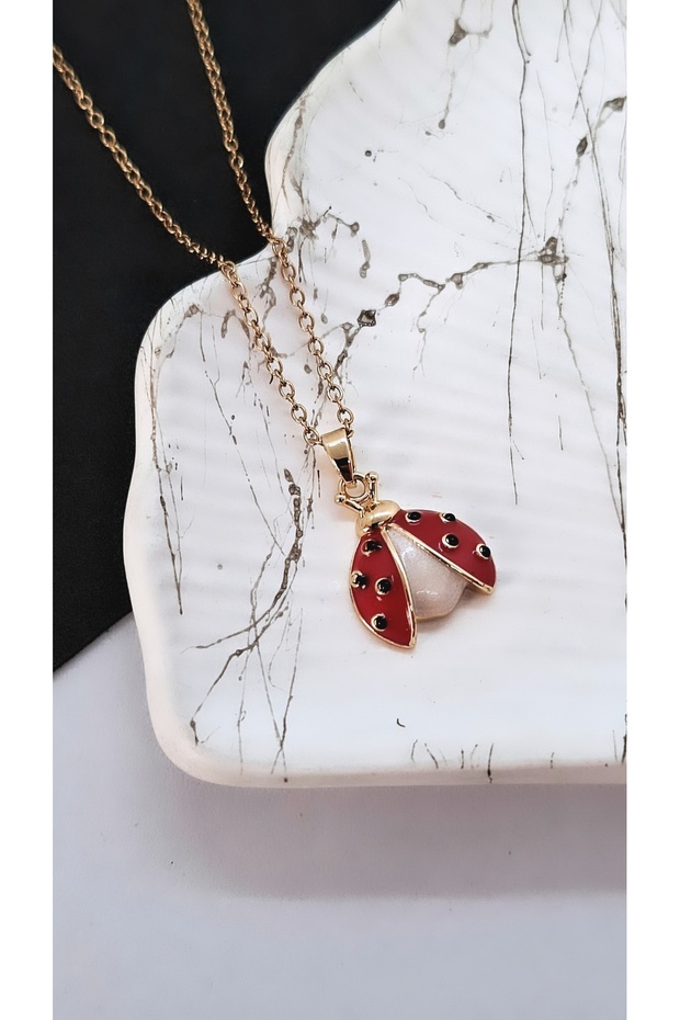 Kanatlı Uğur Böceği Figürlü Çelik Kolye - 4