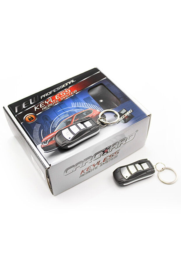 Central locking – with remote control - 1