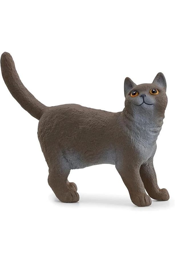 British Shorthair Kedi, Oyuncak Figür - 1