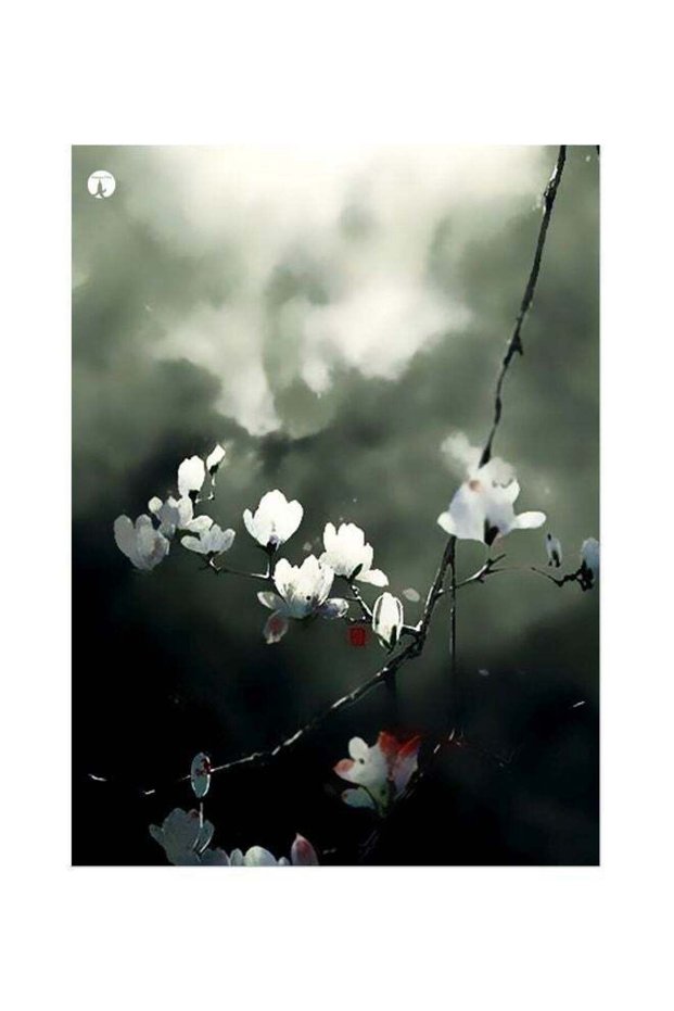 Flower Theme Printed Plate Grey/Black/White 20x15cm