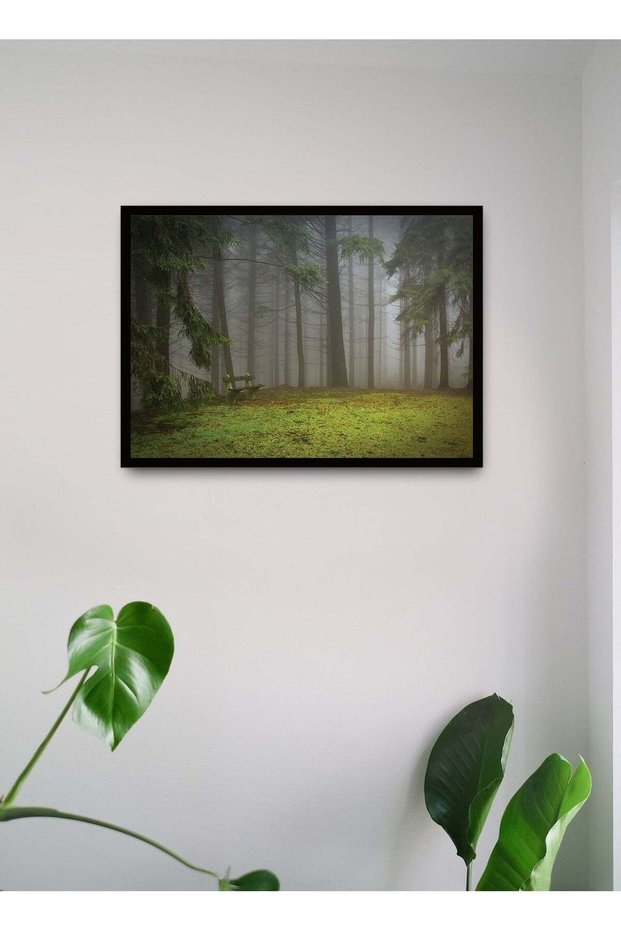 Wall Posters with Forest Scenery Picture and Black Frame - Wall Arts Home Décor Photo Frames - 40x5