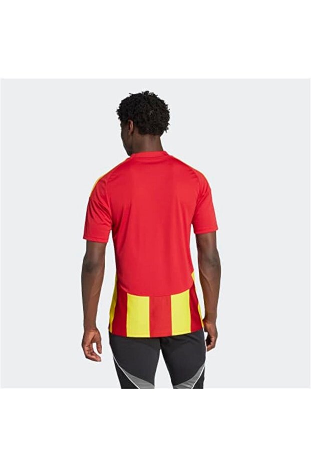 STRIPED 24 JSY Forma - 4