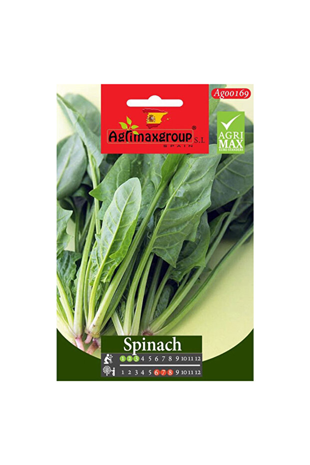 Spinach Premium Quality Seeds (Made in Spain)