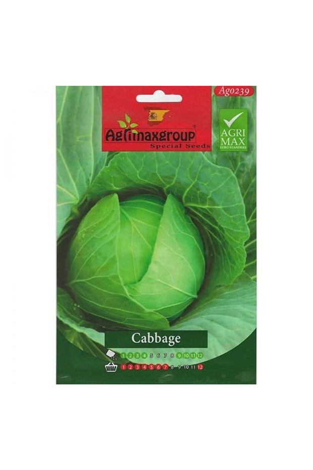 Cabbage Premium Quality Seeds (Made in Spain)