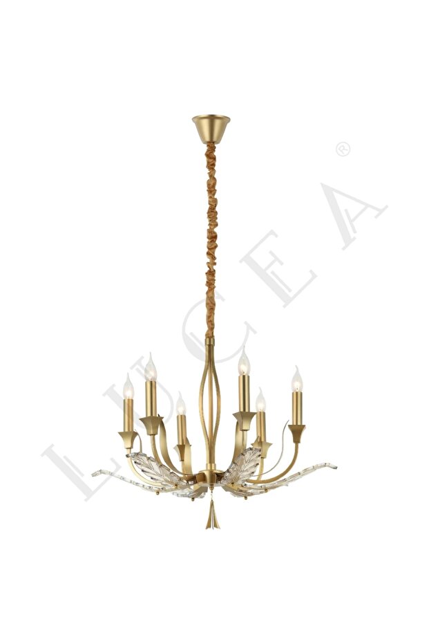 DALILA 6 LI ALTIN AVIZE 6XE14 - 1