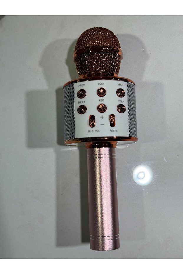 KAROEKE MİKROFON - 4