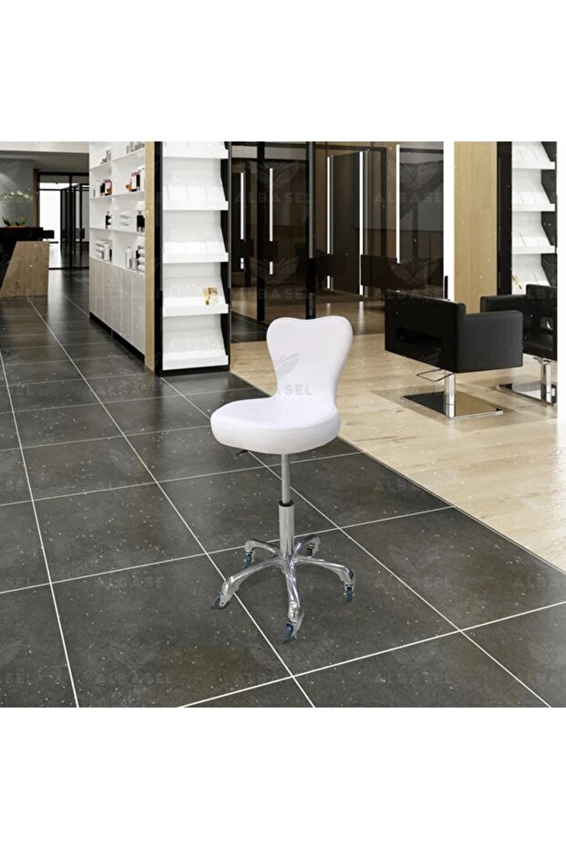 Beauty Salon Adjustable Stool White