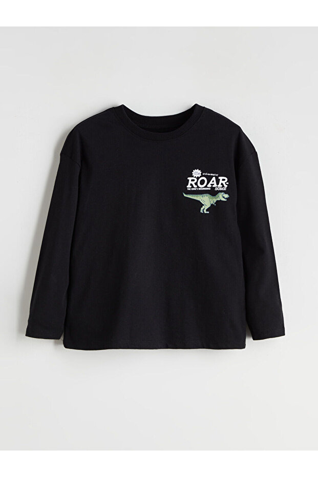 Lcw Crew Neck Printed Boys T-Shirt (W5)