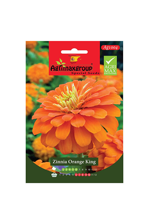 Zinnia Orange King Premium Quality Seeds (Made in Spain)