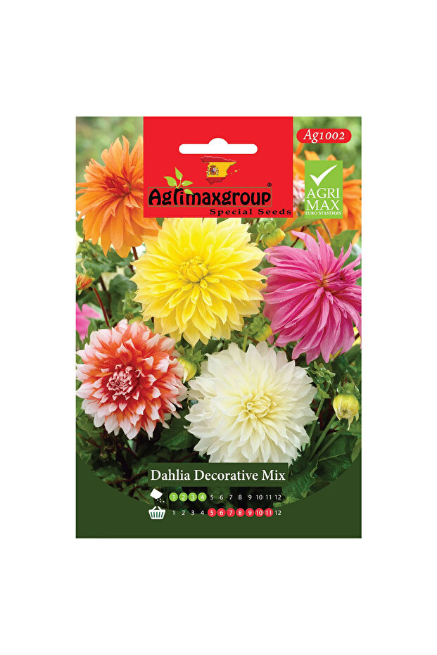 Dahlia Decorative Mix Flowered Premium Quality Seeds (Made in Spain)