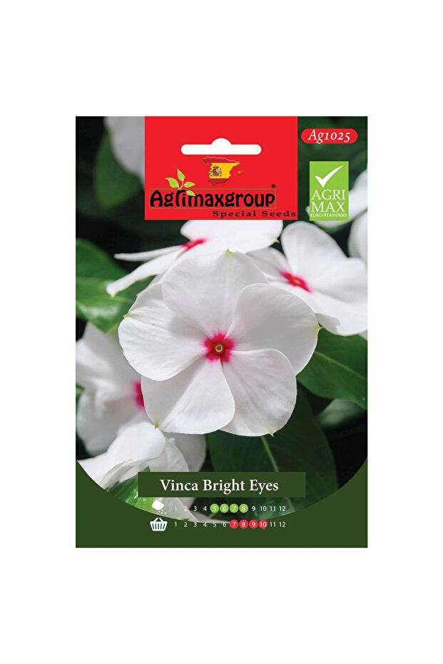 Vinca Bright Eyes Premium Quality Seeds (Made in Spain)