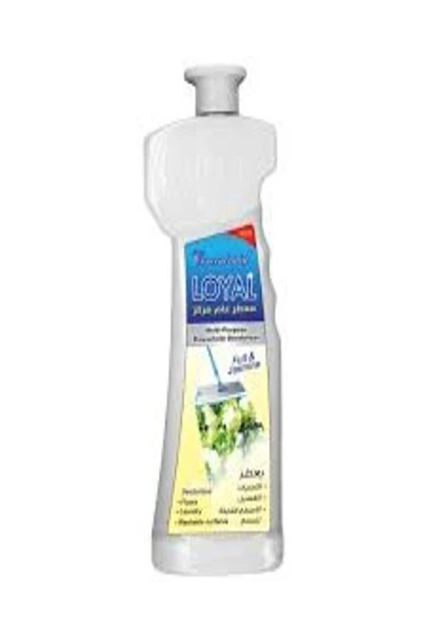 Multi-Purpose Surface Deodorizer Cleansing Spray Spring Flowers (700ml)