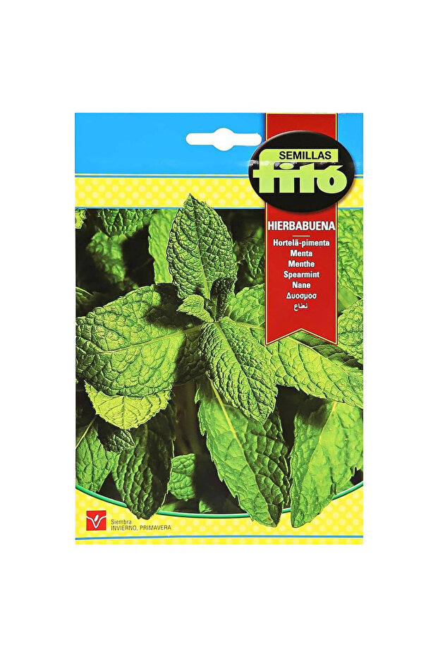 Fito Peppermint Premium Quality Seeds (Made in Spain) by Fito