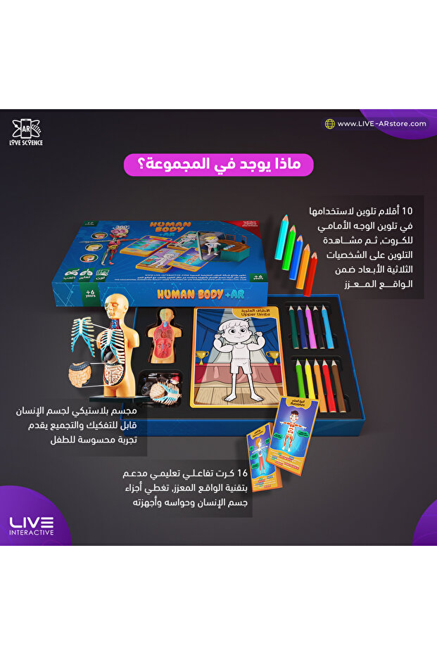 Interactive Human Body Set - 1