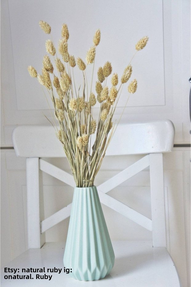 Natural White Bird Grass (Phalaris) Dry Flower, Average 55 Stalks, 40-45 cm Length