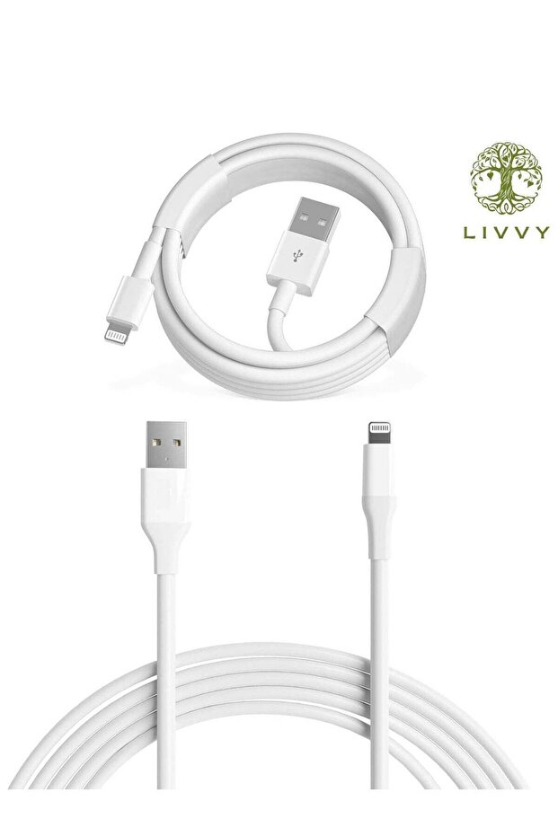 1-Pack USB-A to Lightning Cable for iPhone 14/13/12/11 Pro Max, iPad