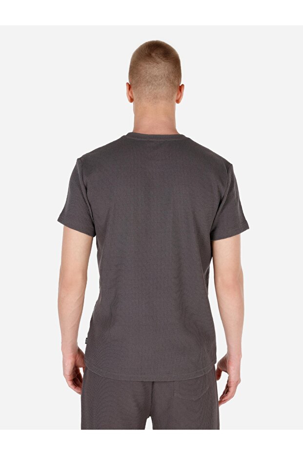 Regular Fit Bisiklet Yaka Dokulu Antrasit Erkek Kısa Kol Tişört - 2
