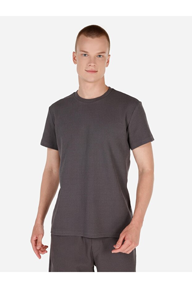 Regular Fit Bisiklet Yaka Dokulu Antrasit Erkek Kısa Kol Tişört - 1