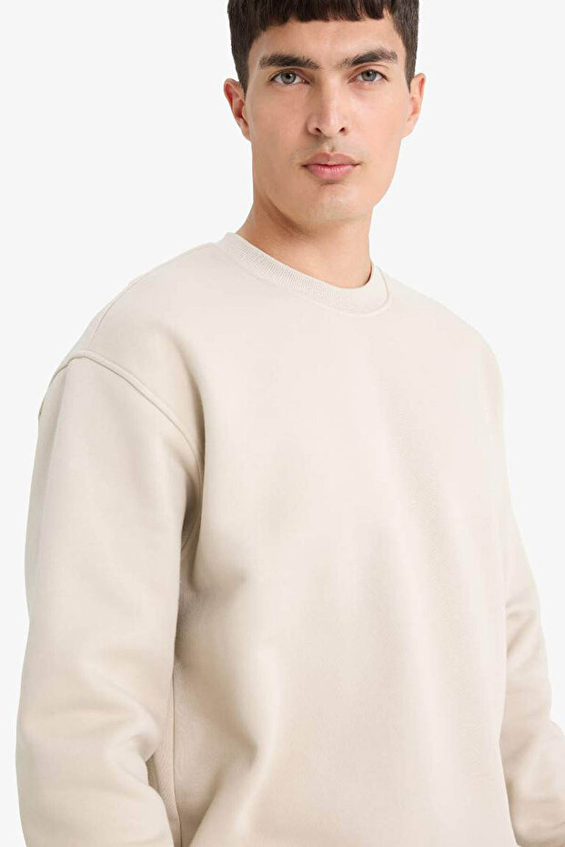 Taş Erkek Sweatshirt T5139AZ/BG735 - 4