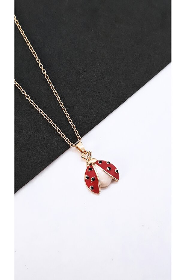 Kanatlı Uğur Böceği Figürlü Çelik Kolye - 5