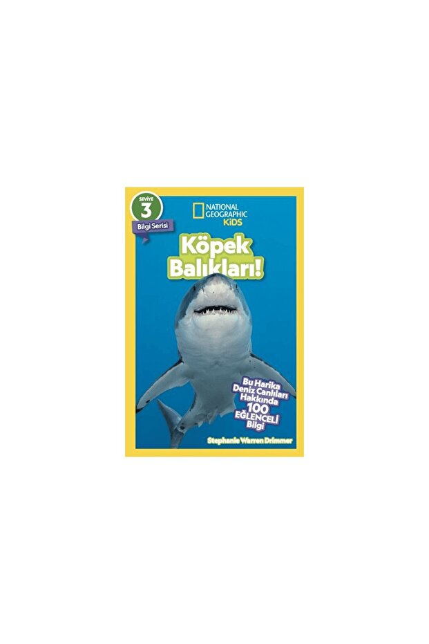 Köpek Balıkları