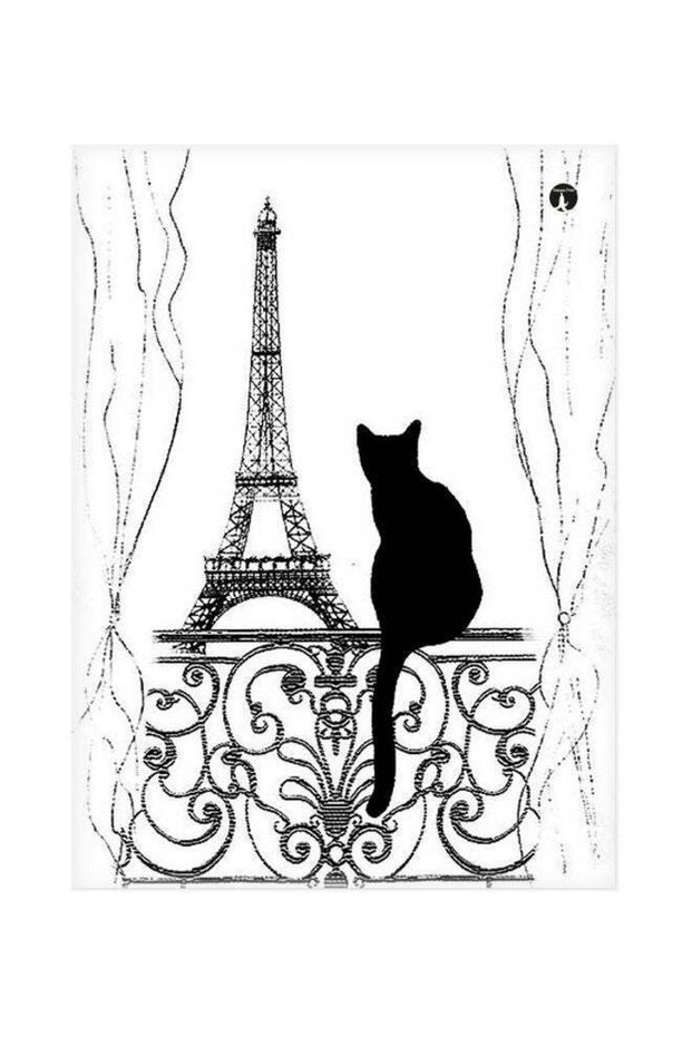 Cat Printed Metallic Plate White/Black 20x15cm