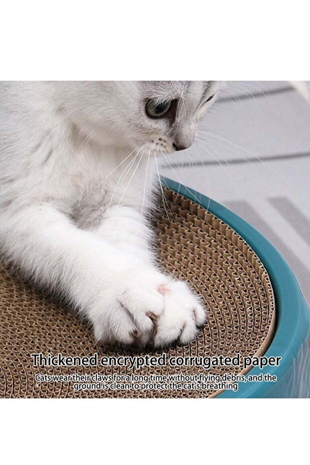 Plastic Round Cat Scratching Board Replaceable Scratch Resistant Cat Scratch Couch Bed - 4