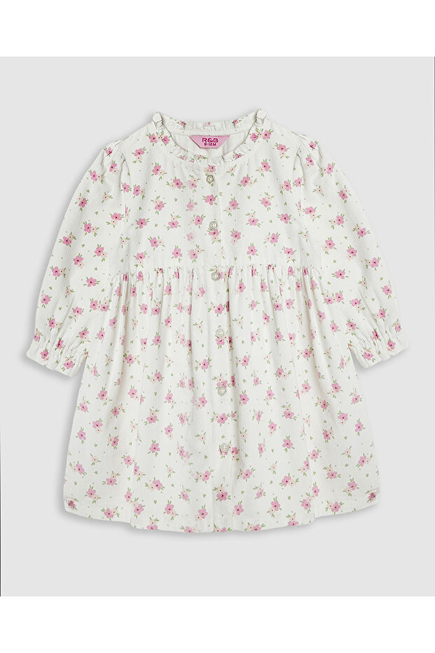 Floral Print Fit and Flare Dress with Long Sleeves