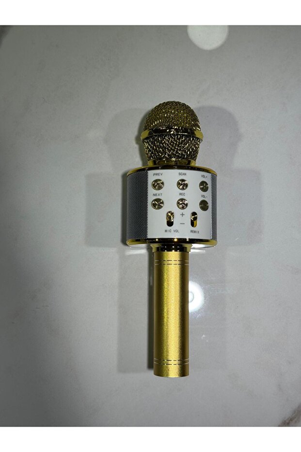 KAROEKE MİKROFON - 5