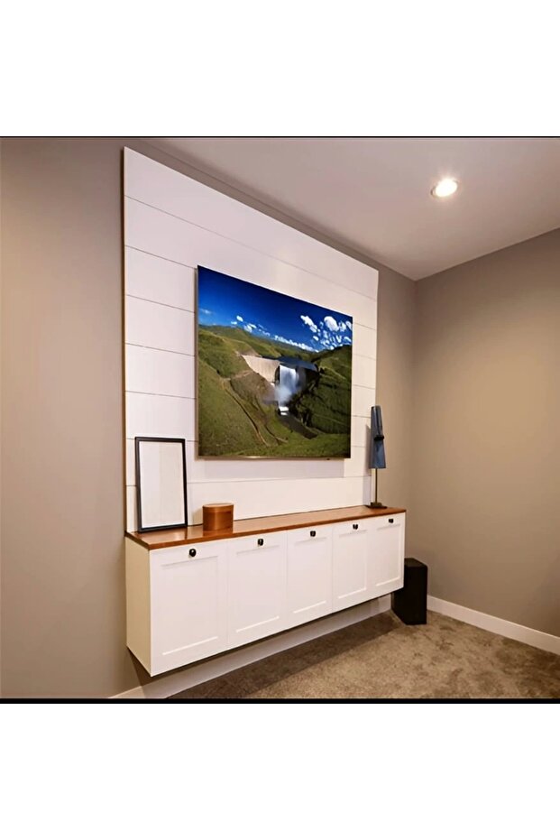 Anka TV Ünitesi - 1