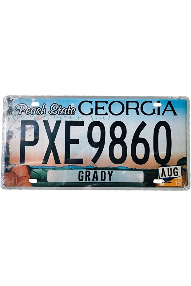 FFD Wall Decorative Metal Plate Tin Sign Metal Poster Modern Design Painted Car Plate 1 Piece