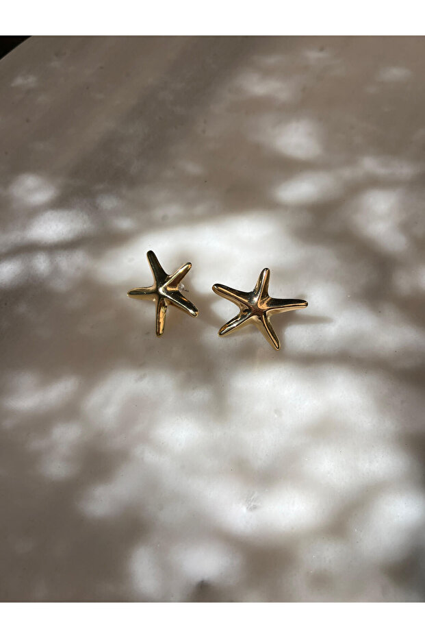 Deniz Yıldızı Küpe - 1