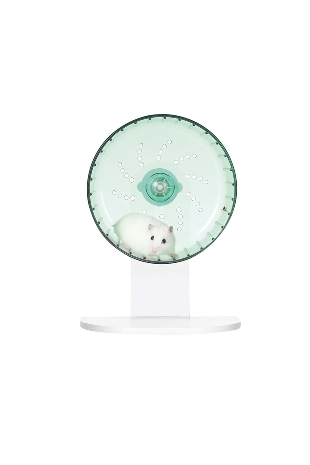 TURBO TRAINING HAMSTER ÇARKI GREEN - 3