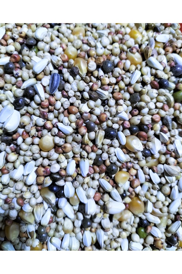 BUĞDAYSIZ LÜKS KARIŞIK - 1