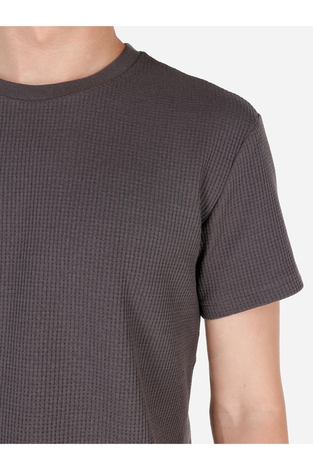 Regular Fit Bisiklet Yaka Dokulu Antrasit Erkek Kısa Kol Tişört - 5