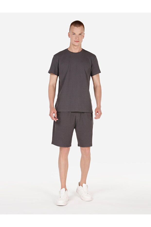 Regular Fit Bisiklet Yaka Dokulu Antrasit Erkek Kısa Kol Tişört - 3