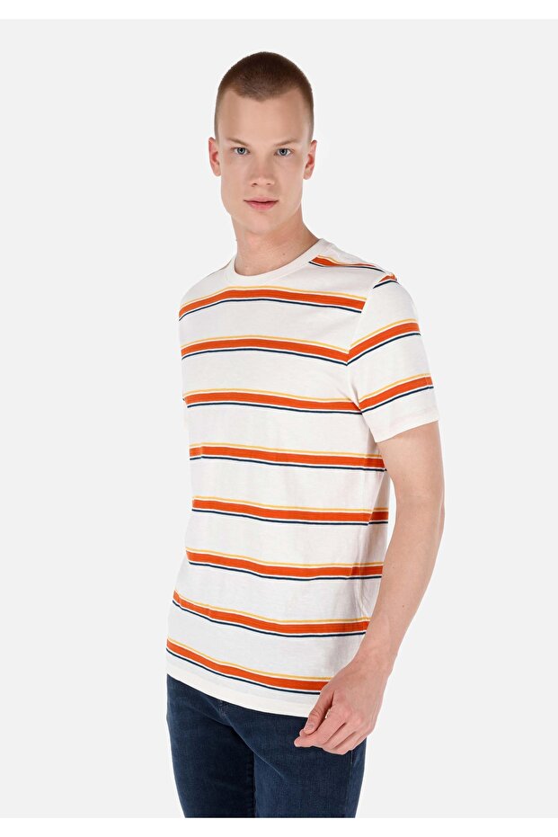Regular Fit Crew Neck Stripe Print White Men's Short Sleeve T-Shirt