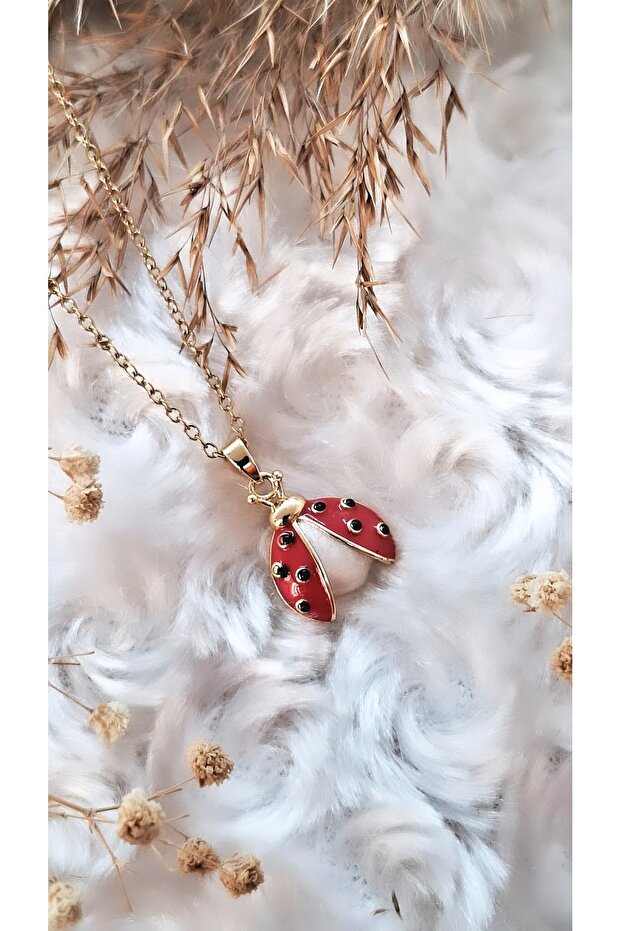 Kanatlı Uğur Böceği Figürlü Çelik Kolye - 6