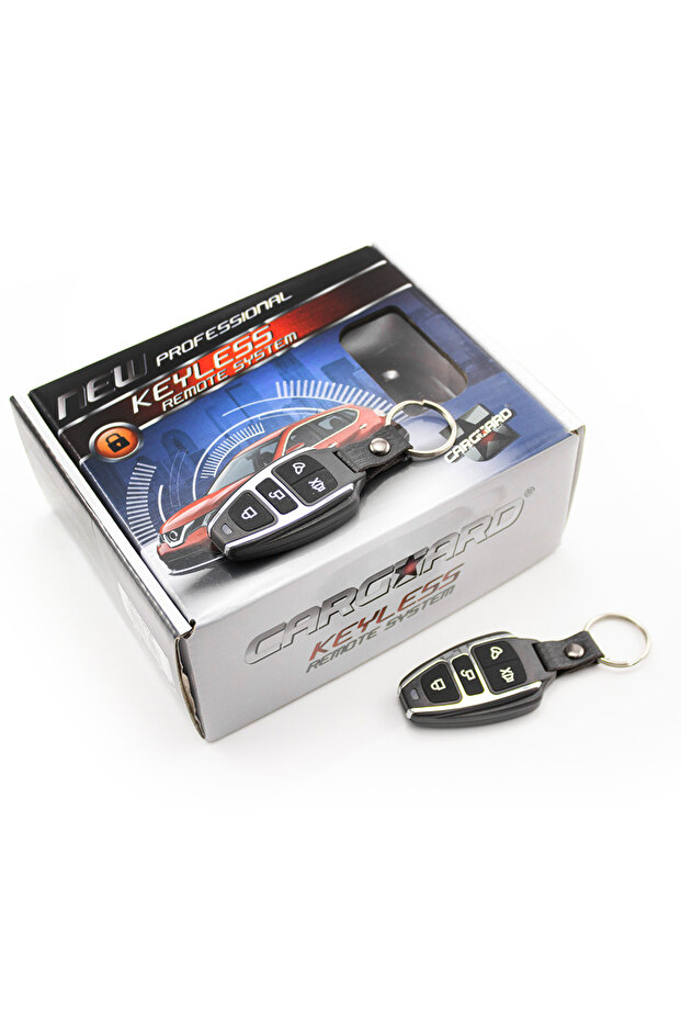 Central locking - with remote control - 1