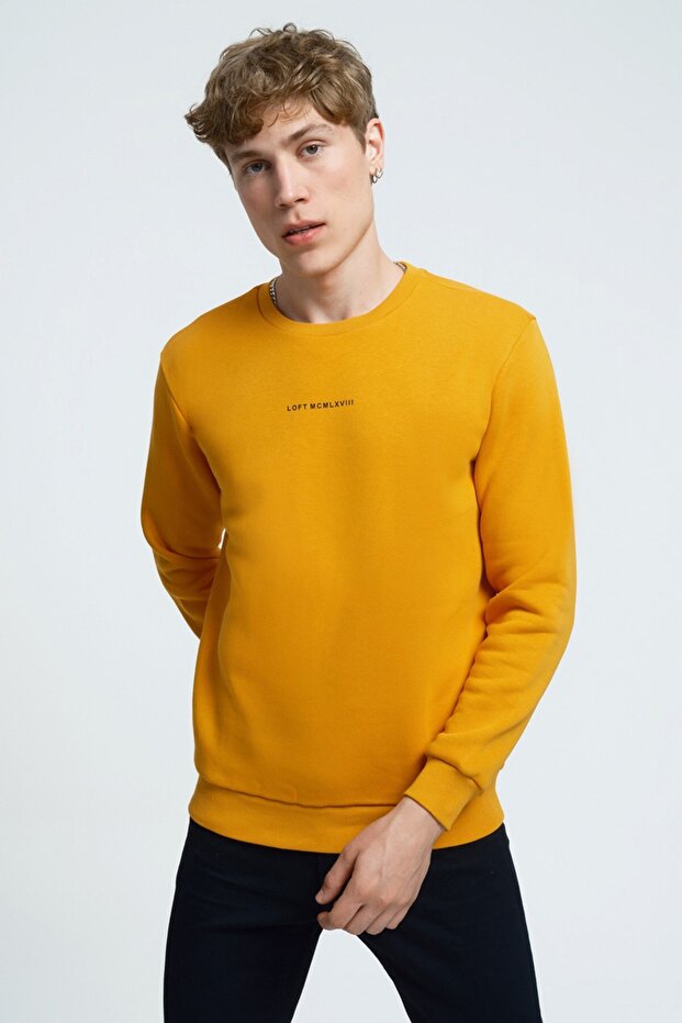 Erkek Sweatshirt - 3