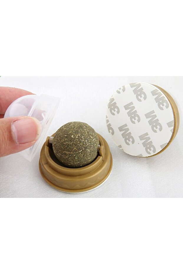 كرة لعب عشبة القطط - 4