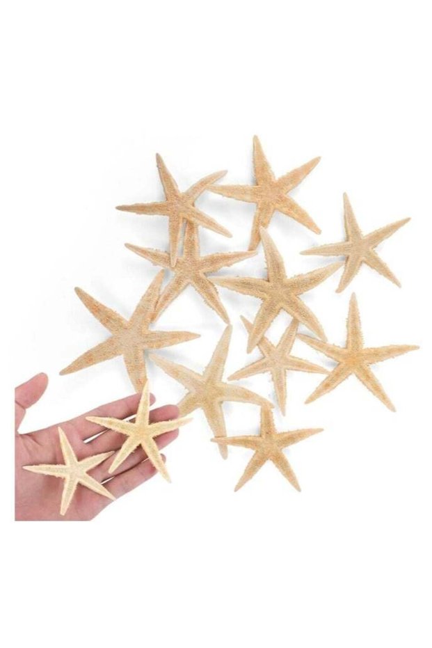 10 PCS Natural Starfish for Crafts Shell Conch Wall Landscaping Decoration Platform Wedding Aquariu