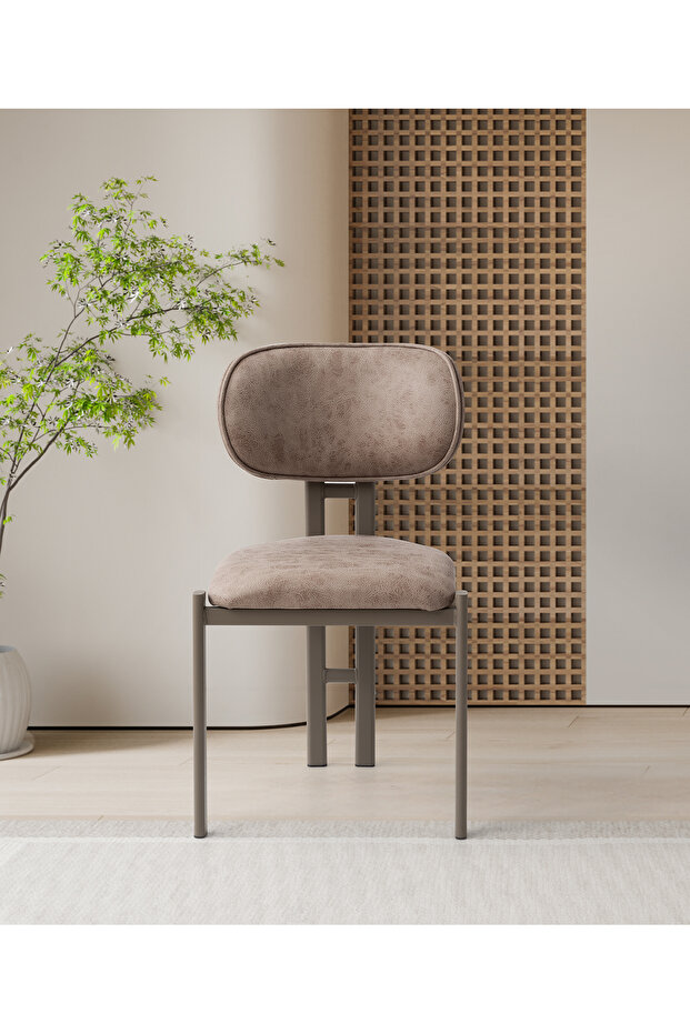 Muriz Sandalye Cappuccino Ayak Vizon Kumaş - 4