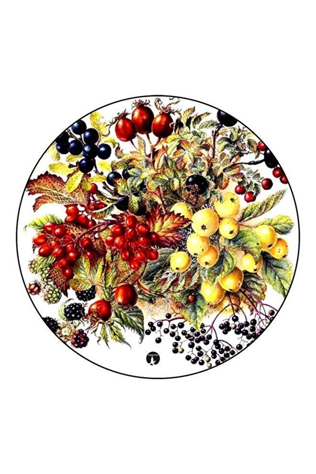 Fruits Printed Fridge Magnet Red/Yellow/Green 5.5cm