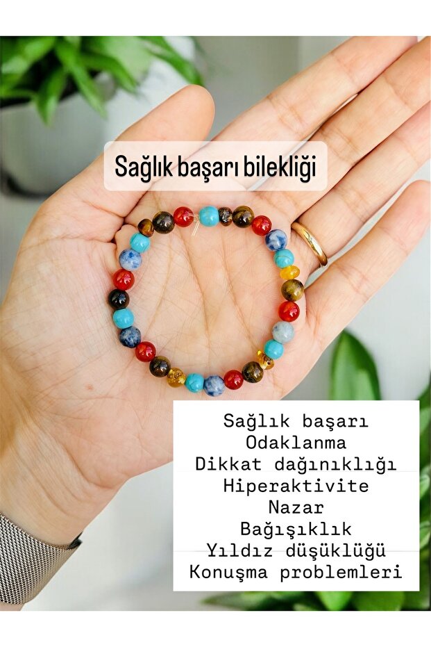 Health Success Student Bracelet