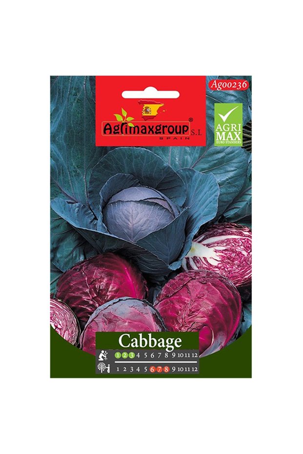 Red Cabbage Premium Quality Seeds (Made in Spain)