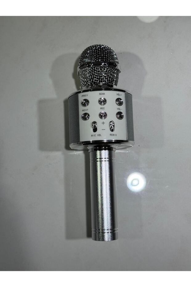 KAROEKE MİKROFON - 1