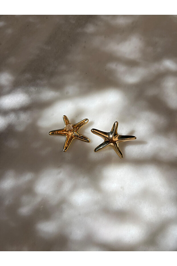 Deniz Yıldızı Küpe - 3