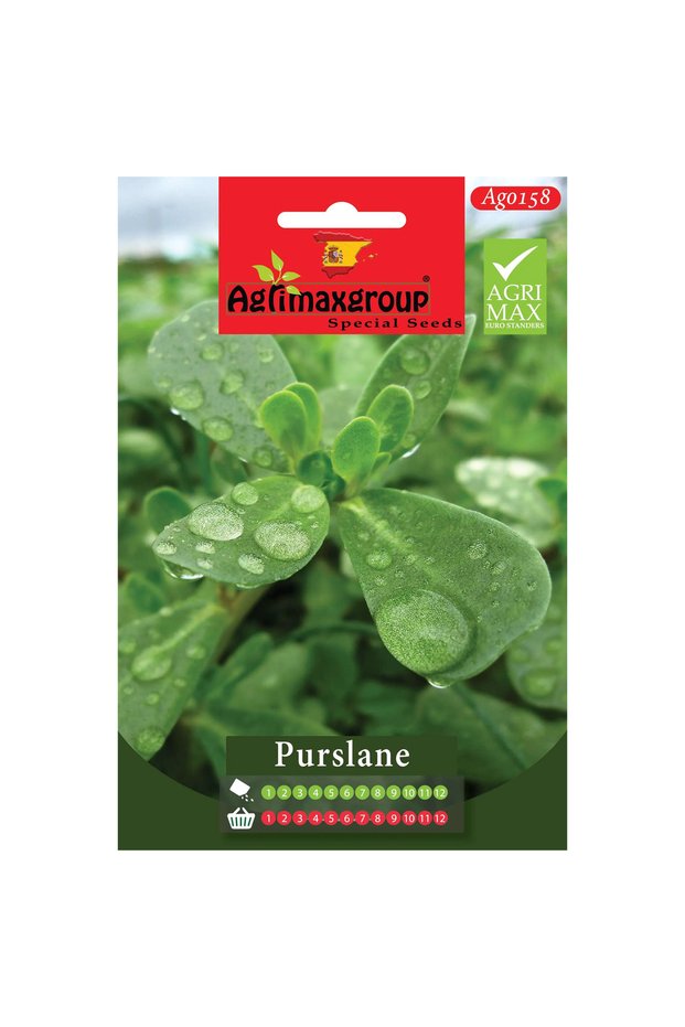 Purslane Premium Quality Seeds (Made in Spain)